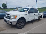 Ford F-150 Xlt 1FTFW1ET9DKF81218 снимка