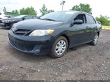 TOYOTA COROLLA LE 2T1BU4EE4BC591080 снимка