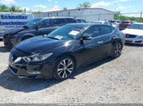 Nissan Maxima 3.5 Sl 1N4AA6AP9GC902709 снимка