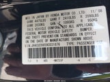 ACURA TSX JH4CU26659C031876 снимка