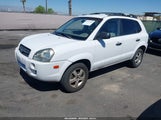 HYUNDAI TUCSON GL KM8JM12B65U161056 снимка