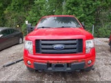 FORD F-150 STX 1FTFX1EF5BFA68108 fotografie