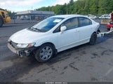 HONDA CIVIC LX 2HGFA16569H342000 снимка