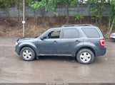 FORD ESCAPE XLT 1FMCU93G19KC14250 снимка