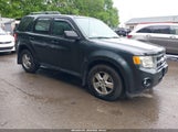 FORD ESCAPE XLT 1FMCU93G19KC14250 снимка