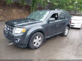 FORD ESCAPE XLT 1FMCU93G19KC14250 снимка