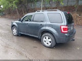 FORD ESCAPE XLT 1FMCU93G19KC14250 снимка
