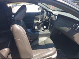 FORD MUSTANG GT DELUXE/GT PREMIUM 1ZVFT82H255119937 снимка