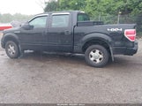 FORD F-150 XL 1FTRW14829FA39534 снимка