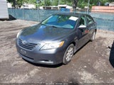 TOYOTA CAMRY LE V6/SE V6/XLE V6 4T1BK46KX9U095302 photo