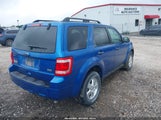 Ford Escape Xlt 1FMCU9DG0BKA08972 снимка