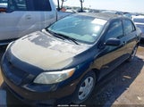 TOYOTA COROLLA LE/S/XLE 1NXBU40EX9Z092431 снимка