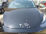 TESLA MODEL Y PERFORMANCE DUAL MOTOR ALL-WHEEL DRIVE 7SAYGDEF0PF691547 photo