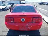 FORD MUSTANG V6 DELUXE/V6 PREMIUM 1ZVFT80N775352384 снимка