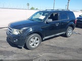 FORD ESCAPE XLT 1FMCU0D7XAKC48394 снимка