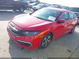 HONDA CIVIC LX 2HGFC2F65KH556555 снимка