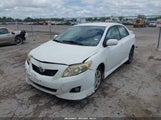 TOYOTA COROLLA LE/S/XLE 1NXBU40E39Z015948 fotografie