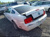 FORD MUSTANG V6 DELUXE/V6 PREMIUM 1ZVFT80N855137237 fotografie