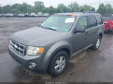 FORD ESCAPE XLT 1FMCU93G69KB62260 снимка