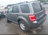 FORD ESCAPE XLT 1FMCU93G69KB62260 снимка