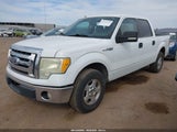 Ford F-150 Fx2 Sport/Harley-Davidson/King Ranch/Lariat/Platinum/Xl/Xlt 1FTFW1CV2AKE55458 снимка