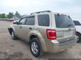 FORD ESCAPE XLT 1FMCU0D76BKB02169 снимка