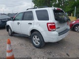 Ford Escape Xlt 1FMCU03709KB21411 снимка