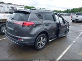TOYOTA RAV4 XLE JTMWFREV3JJ184752 photo