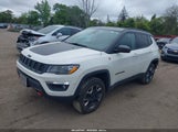 JEEP COMPASS TRAILHAWK 4X4 3C4NJDDB8JT467208 снимка