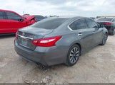 NISSAN ALTIMA 2.5 SL 1N4AL3AP3HC156302 снимка