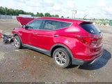 Hyundai Santa Fe Sport 2.4L 5XYZTDLB0JG556727 снимка