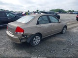 Kia Spectra Ex KNAFE221395600506 снимка