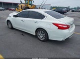 NISSAN ALTIMA 2.5/2.5 S/2.5 SL/2.5 SR/2.5 SV 1N4AL3APXGN345029 fotografie
