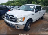 FORD F-150 XLT 1FTEX1CM9DKF70725 снимка