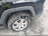 TOYOTA RAV4 LE 2T3H1RFV1MC105561 снимка