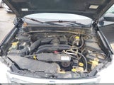 SUBARU FORESTER 2.5X PREMIUM JF2SHADC2BH705609 fotografie