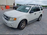FORD ESCAPE XLT 1FMCU93GX9KC34786 снимка