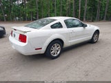 FORD MUSTANG V6 DELUXE/V6 PREMIUM 1ZVHT80N185208081 снимка