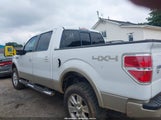 FORD F-150 FX4/HARLEY-DAVIDSON/KING RANCH/LARIAT/PLATINUM/XL/XLT 1FTFW1EV3AFA74336 снимка