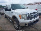 FORD F-150 FX4/HARLEY-DAVIDSON/KING RANCH/LARIAT/PLATINUM/XL/XLT 1FTFW1EV3AFA74336 fotografie