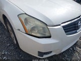 NISSAN MAXIMA 3.5 SE 1N4BA41E68C824690 снимка