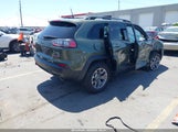 JEEP CHEROKEE TRAILHAWK 4X4 1C4PJMBX9MD142777 снимка