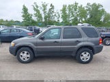 FORD ESCAPE XLT 1FMCU931X4DA18154 fotografie