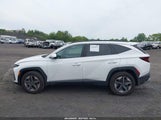 HYUNDAI TUCSON SEL 5NMJBCDE1SH542328 снимка