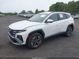 HYUNDAI TUCSON SEL 5NMJBCDE1SH542328 снимка
