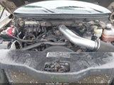 FORD F-150 FX4/LARIAT/XLT 1FTPW145X5FB07487 photo