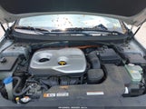 HYUNDAI SONATA HYBRID SE KMHE24L19GA018556 photo