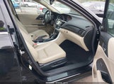 HONDA ACCORD EX-L V-6 1HGCR3F82DA041023 photo