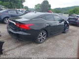 NISSAN MAXIMA 3.5 SL 1N4AA6AP0GC903120 снимка