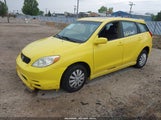 TOYOTA MATRIX XR 2T1KR32E64C184235 снимка